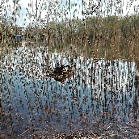 Appartement Stara Kamienica Centrum Mrągowo